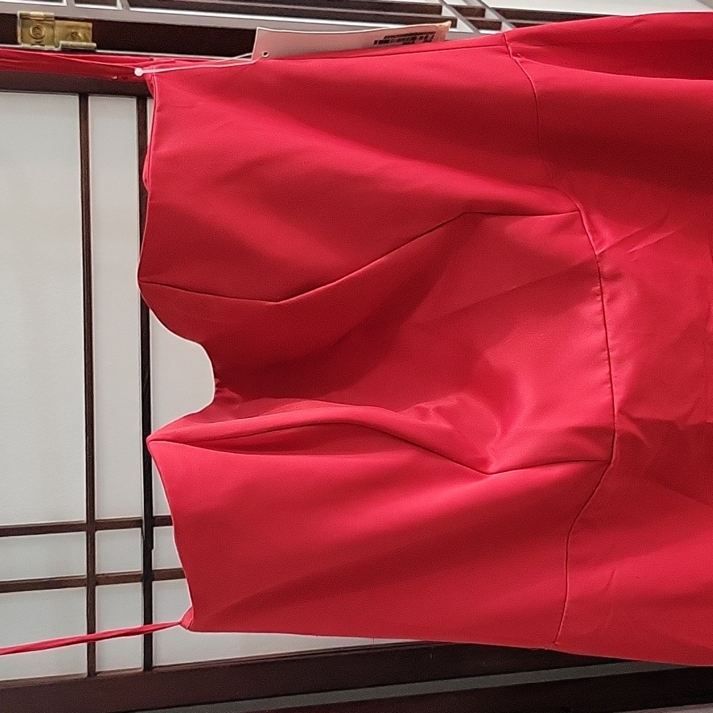 Formal Strapless Red Gown, Size 16 - Picture 3 of 3